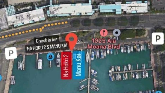 Honolulu: 1-Hour Friday Night Fireworks Cruise with Drinks