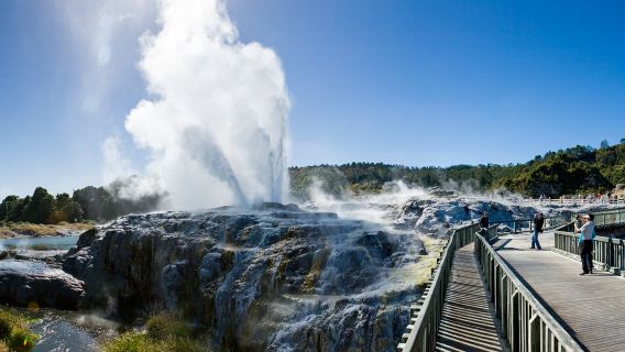 Tour làng Maori Te Puia New Zealand + Suối nước nóng Polynesia 1 ngày [Auckland khứ hồi]