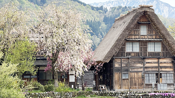 下呂市日遊