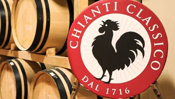 Half-Day Tour in Chianti, Italy|Includes visits and wine tastings at 2 traditional wineries