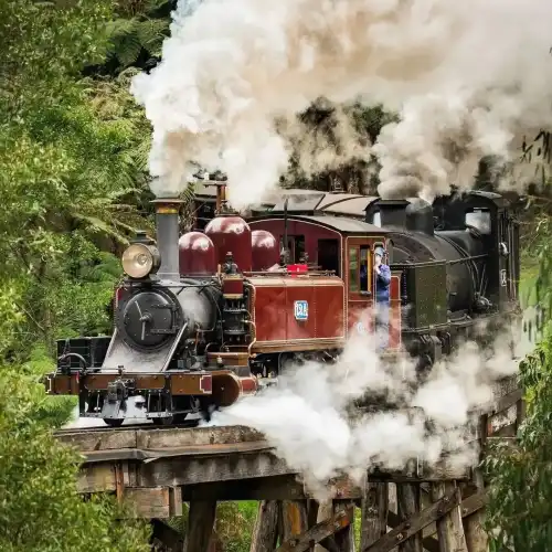 メルボルン発｜パッフィンビリー蒸気機関車＋ペンギン島 日帰りツアー