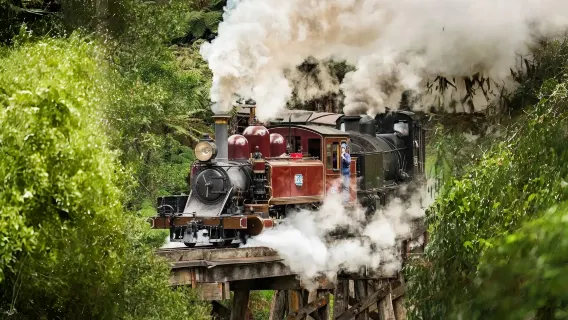 Accettiamo prenotazioni urgenti! Tour di un giorno sul treno a vapore Puffing Billy e all'isola dei pinguini [scopri due attrazioni popolari]