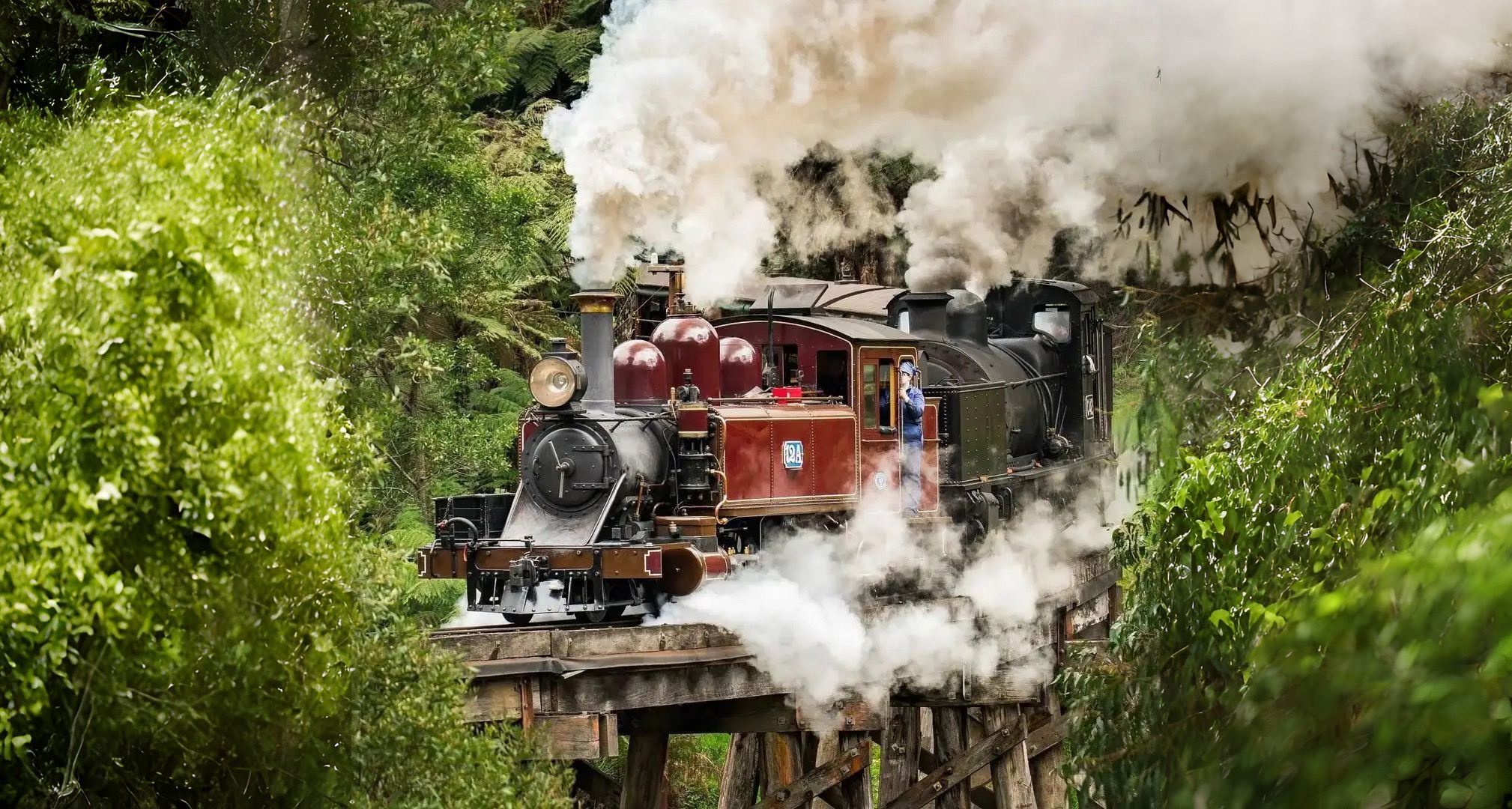Melbourne Puffing Billy Steam Train + Penguin Island Day Tour [Visit two popular attractions in one day]