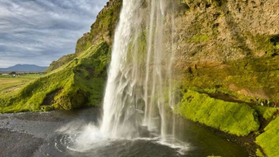 Vik, Skógafoss Waterfall & Black Sand South Iceland: Guided Tour + Transport