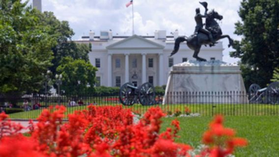 Punti salienti di Washington, D.C.: tour guidato in autobus