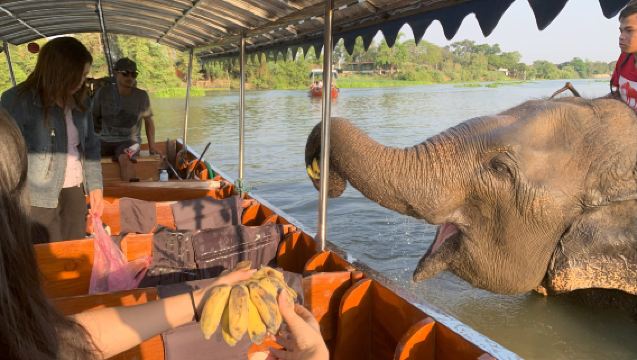 タイ・バンコク｜アユタヤ遺跡半日ツアー｜日本語ガイド