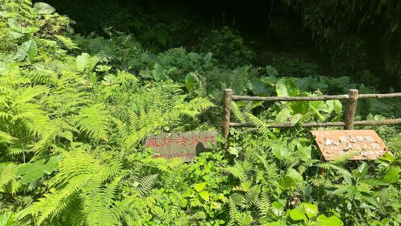 Qilou Old Street + Leiqiong Haikou Volcano Group World Geopark + Wugong Temple + Haikou + Sun Moon Square one-day tour