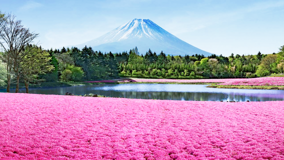 NarusawaTours