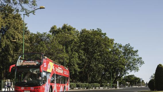 Spain City Sightseeing Benalmadena hop-on hop-off bus tour