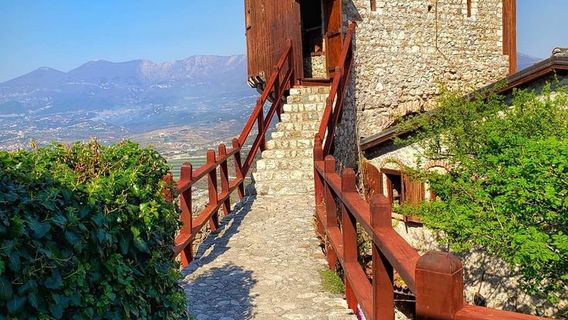 TiranaTravel Services