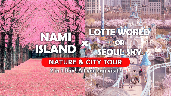 SeoulTours