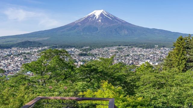 Mount Fuji Scenic Highlights Day Tour