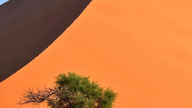 美國私享行-Vegas地標深度遊[死亡谷國家公園]-安全無憂