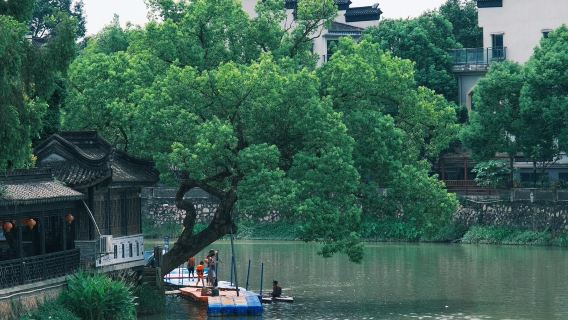 Zhongshan Zhan Garden + Zhongshan Film and Television City + Sun Yat-sen Memorial Hall one-day tour with private charter , English Service Available