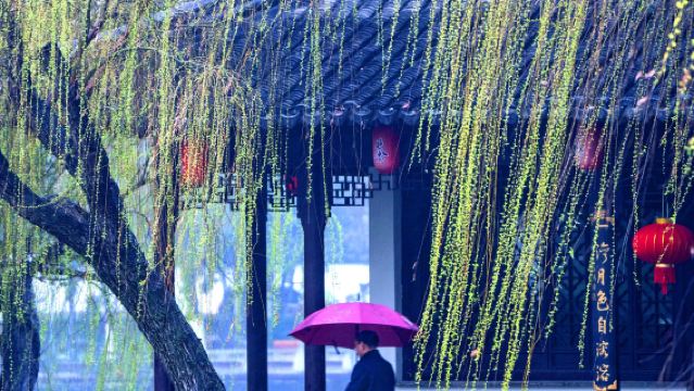 lawatan sehari Ningbo Zhejiang lawatan sewa peribadi|Taman Tianyi Ge & Tasik Yuehu + Bund Asing + Mata Air Panas Erlingshan dan lain-lain