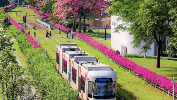 廣州一日私家小團|搭乘電車+白雲山含纜車+廣州經典景點