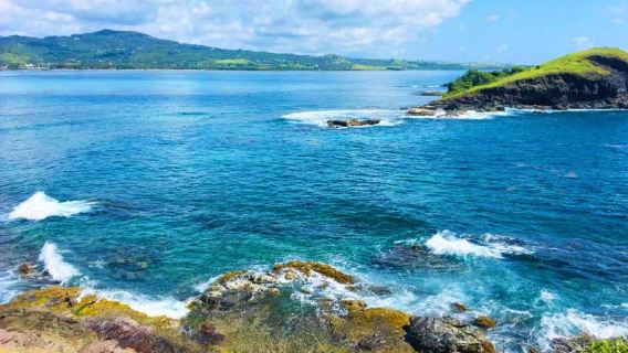 Excursión de un día en inglés con senderismo a la Isla Maria en Hobart, Tasmania