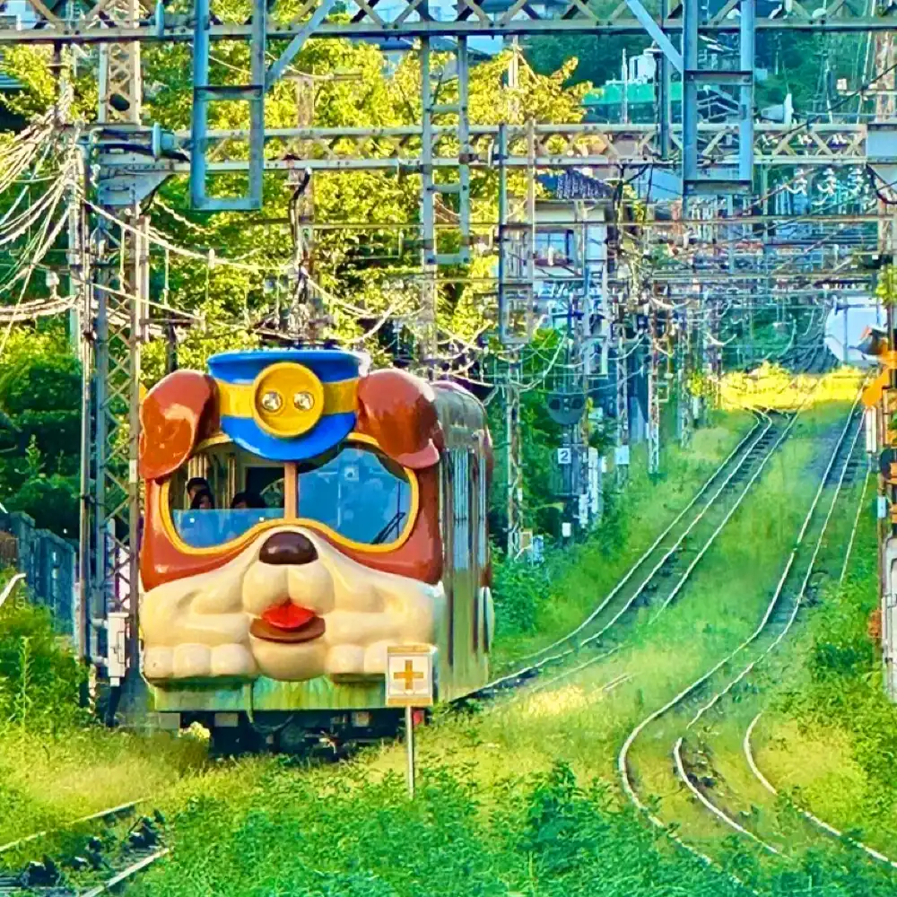 1-day tour to Osaka Ikoma Skyland aerial cycle & Nara Park deer