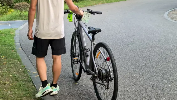 Tour en bicicleta - ciclismo de 20 km por el carril verde del Lago Este con visita guiada con explicaciones de guía certificado