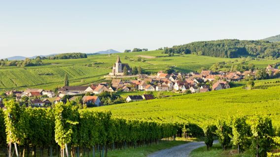 จากโคลมาร์: ทัวร์ปราสาทและหมู่บ้าน Haut-Koenigsbourg แบบไปเช้าเย็นกลับ