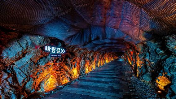 서울: 서해랑 케이블카, 광명동굴 등 (EG투어)