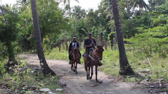 Beach horse back riding with countryside