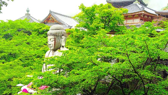 Nara: scopri un gigantesco Buddha di pietra sulle colline della foresta