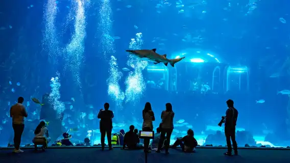 Poema del Mar Skip-the-Line Ticket