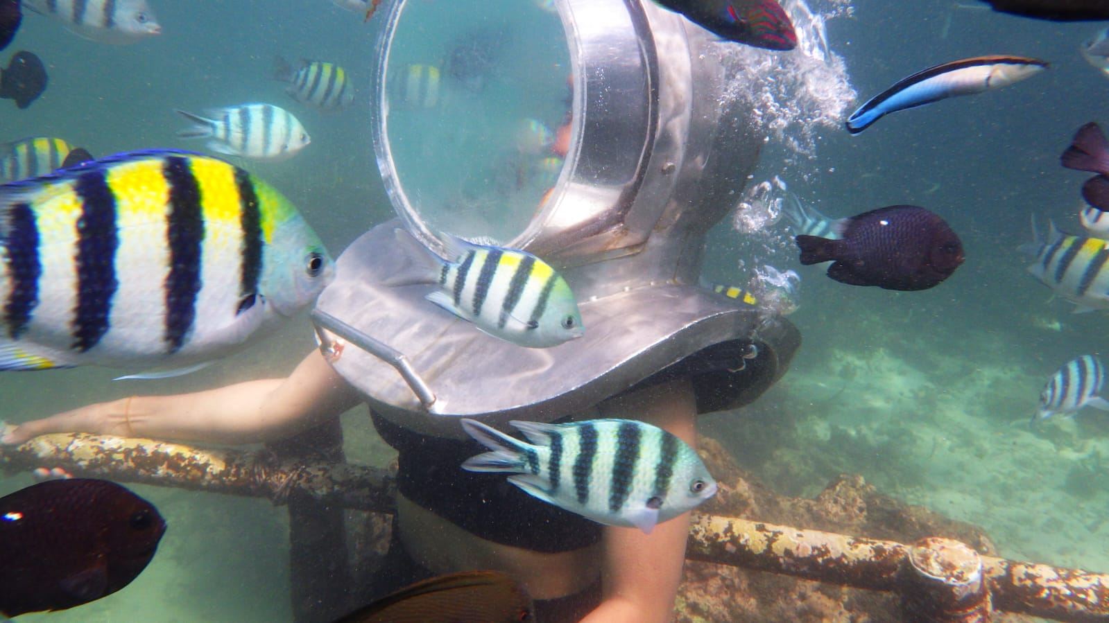 IndonesienBaliNusa DuaTauche ein0,5 Std. [Sea Walk Adventure]