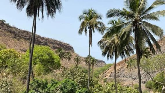 Praia: Guided Nature Hike to Cidade Velha