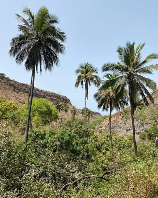 Praia: Baobab Mysterious Tree, Green Valley & Old City Hike
