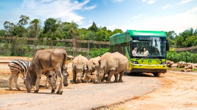 富國島珍珠遊樂園和野生動物園一日遊【包含車接送 + 門票】