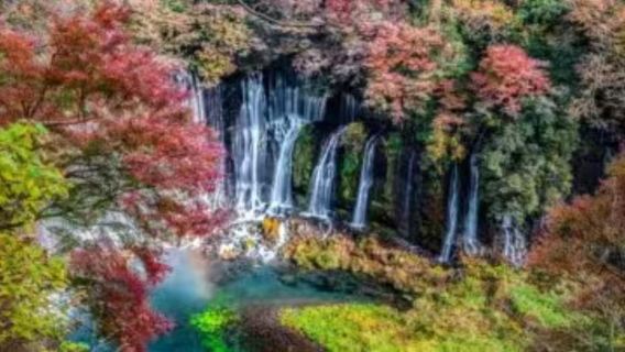 【楓葉季】輕井澤町+白絲瀑布+雲湯池+舊輕井澤銀座包車1日遊