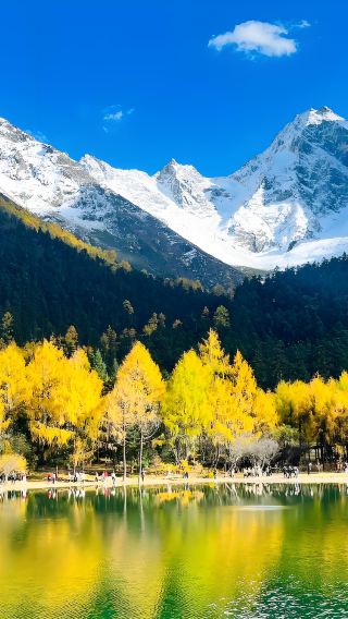 Chengdu City Center - Bipenggou Direct Shared Comfort Coach with Admission Ticket for Easy Scenic Area Exploration