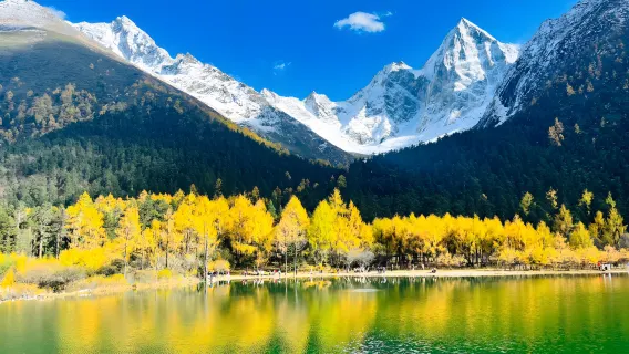 Direct bus from Chengdu City to Bipenggou Scenic Area : Enjoy a comfortable bus ride to the scenic area