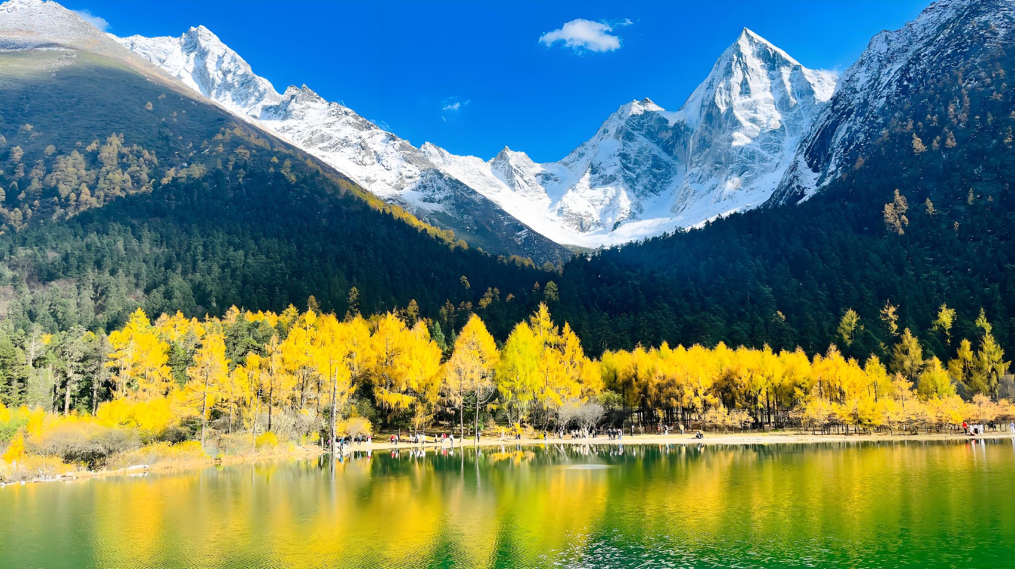 Chengdu city center - Bipenggou direct bus: Group tour with comfortable bus and entrance tickets for an easy and enjoyable visit to the scenic area.