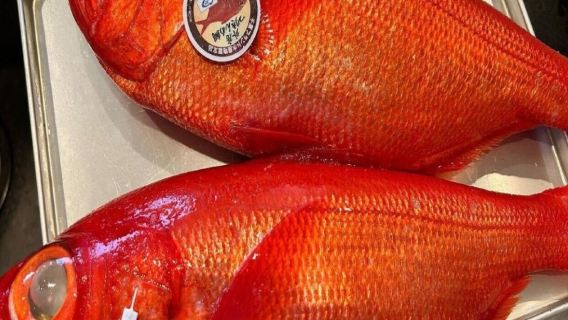 160 ร้านซูชิชื่อดังในกินซะ โตเกียว ประเทศญี่ปุ่น ซูชิมุระยามะ หิมะสวยที่อื่นไม่มี