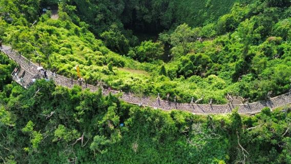 海口上門接送  I【限定親子遊學】火山群世界地質公園一日遊
