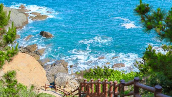 威海人生照片 ▎布魯維斯沉船+榮成天鵝湖+威海公園 包車遊