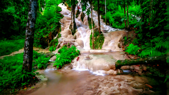 Ausflug zu den Klebrigen Wasserfällen in Chiang Mai [Ohne Reiseleitung, optional mit Sammeltaxi/Privatwagen]