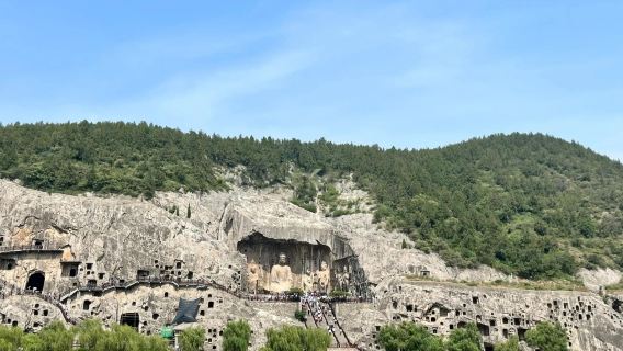 洛陽龍門石窟半日帰りツアー【象の好評ガイドスタッフによる案内-石窟芸術探求の旅】