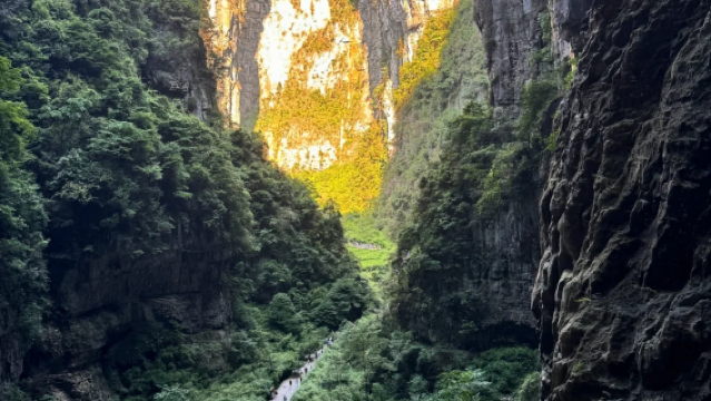 重慶-武隆一日旅遊活動【來回交通+天生三橋門票+龍水峽地縫門票+轉乘車費+導遊+午餐】
