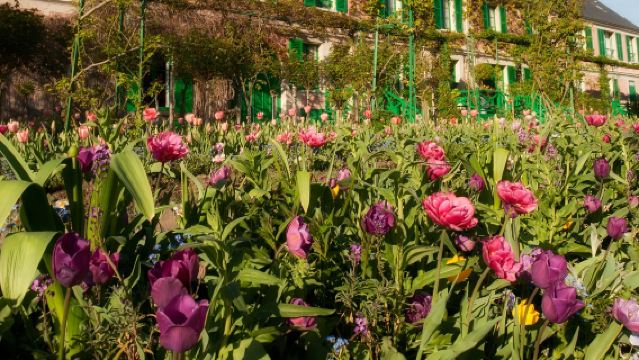 Lawatan separuh hari ke Fondation Claude Monet dari Paris, Perancis termasuk tiket masuk untuk 2-7 orang dalam pakej berkumpulan berbahasa Cina