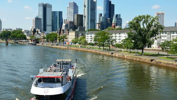 Frankfurt: Crucero panorámico por la ciudad