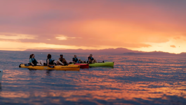 Kayaking at Kaikoura seal colony for 2-3 hr [Kaikoura kayaking in South Island, New Zealand | Optional sunset | Multiple durations available | Family outing]