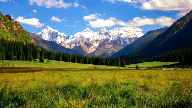 Qiaxi Grassland 1-Day Tour from Yining: Discover the Hidden Paradise !