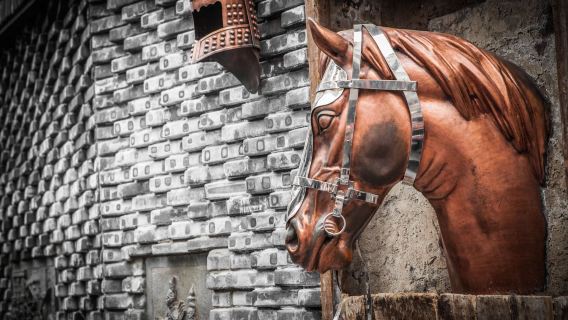 Chengdu Yulin West Road + Kuanzhai Alleys + Wenshu Monastery + Eastern Suburb Memory + Nine-Eyed Bridge [English guide optional]
