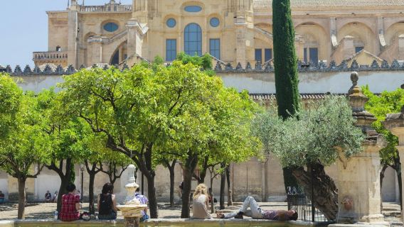 Mosque-Cathedral of Córdoba & Jewish Quarter: Guided Tour