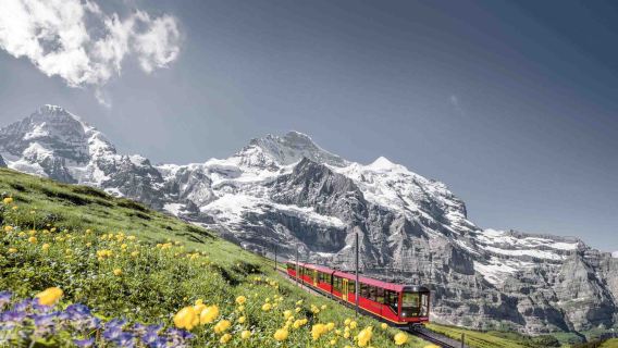 Vé tàu/cáp treo lên đỉnh Jungfrau, Thụy Sĩ (khứ hồi) | Khứ hồi Grindelwald/Cáp treo tốc hành Eiger/Khứ hồi Lauterbrunnen/Khứ hồi Interlaken