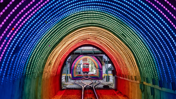 聖歌號/愛極號|紐西蘭威靈頓百年紅色纜車+植物園+國會大廈